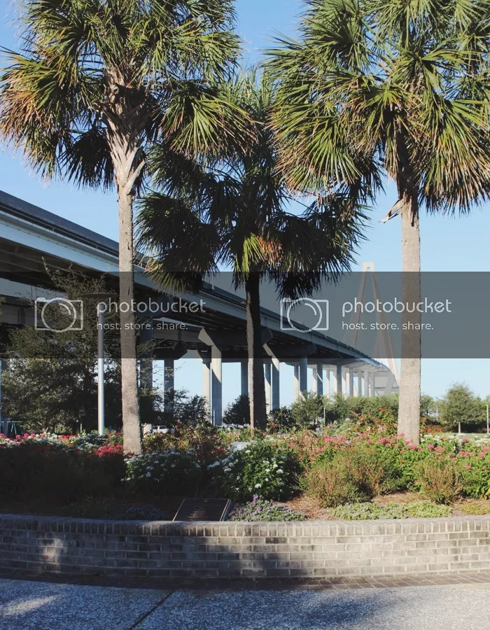  charleston photo ©Creative Index